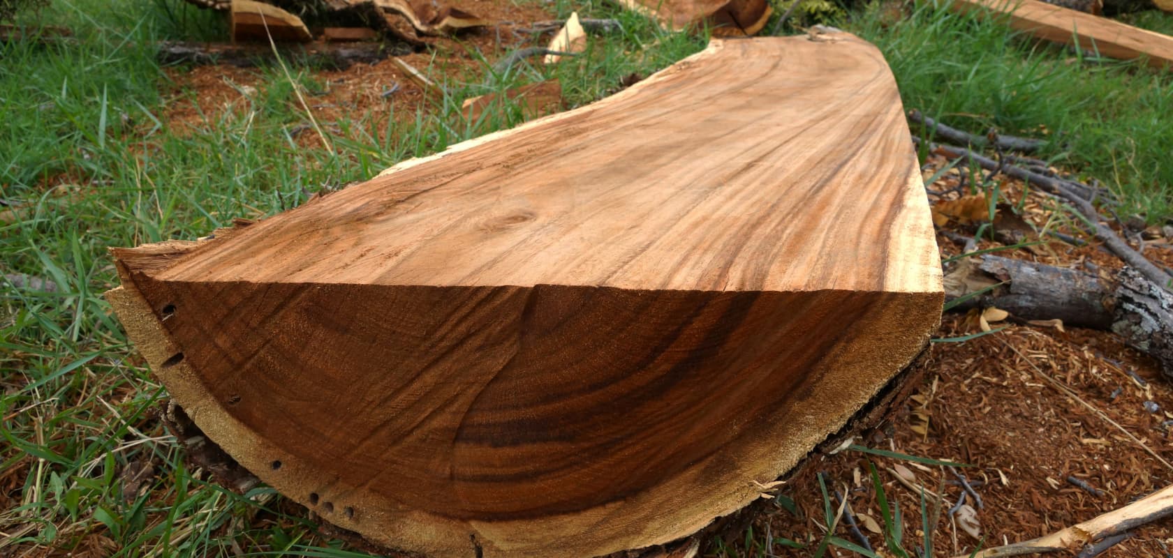 The beauty of rough wooden tables