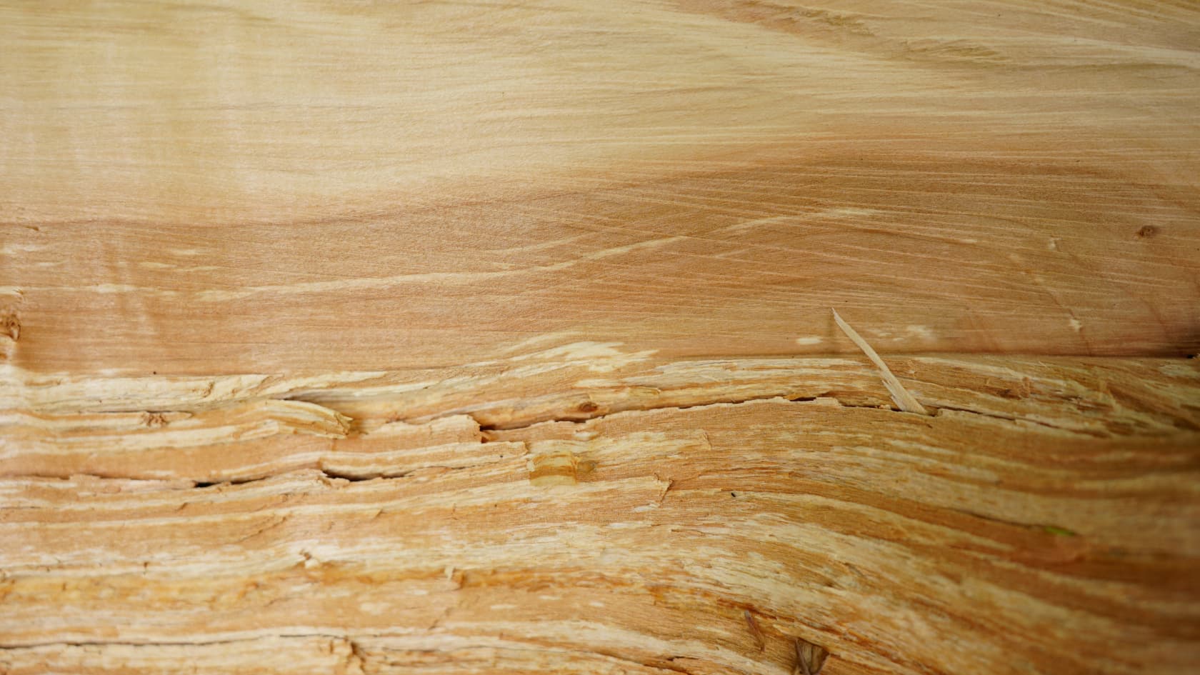 Dry wood's quality and advantages