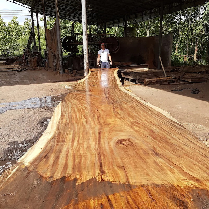 Large live edge acacia slabs