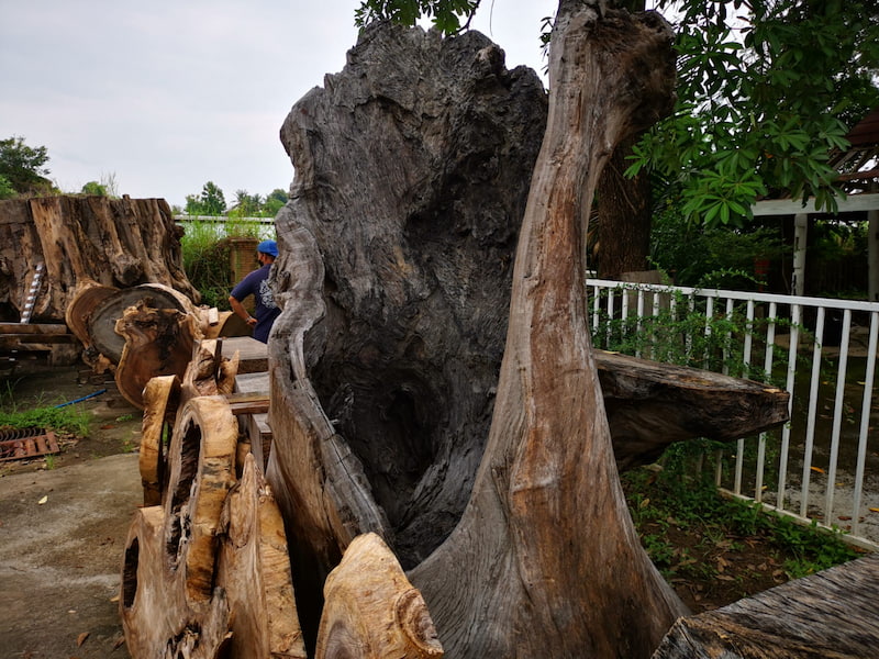 Sustainable acacia wood (Albizia saman), Thai monkey pod wood and salvaged Macassar ebony wood.