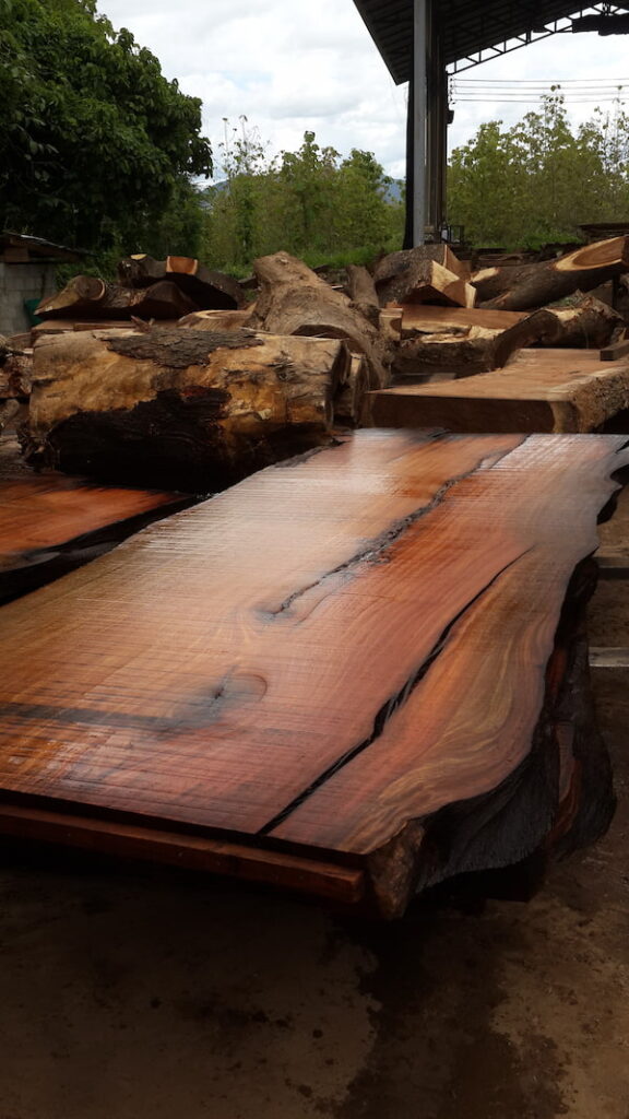 Raw Macassar Ebony Wood