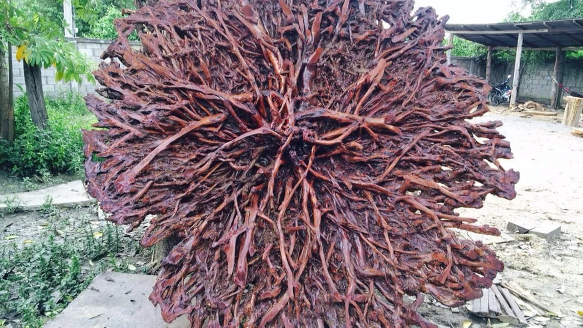 Using Tree Roots to Make Tables